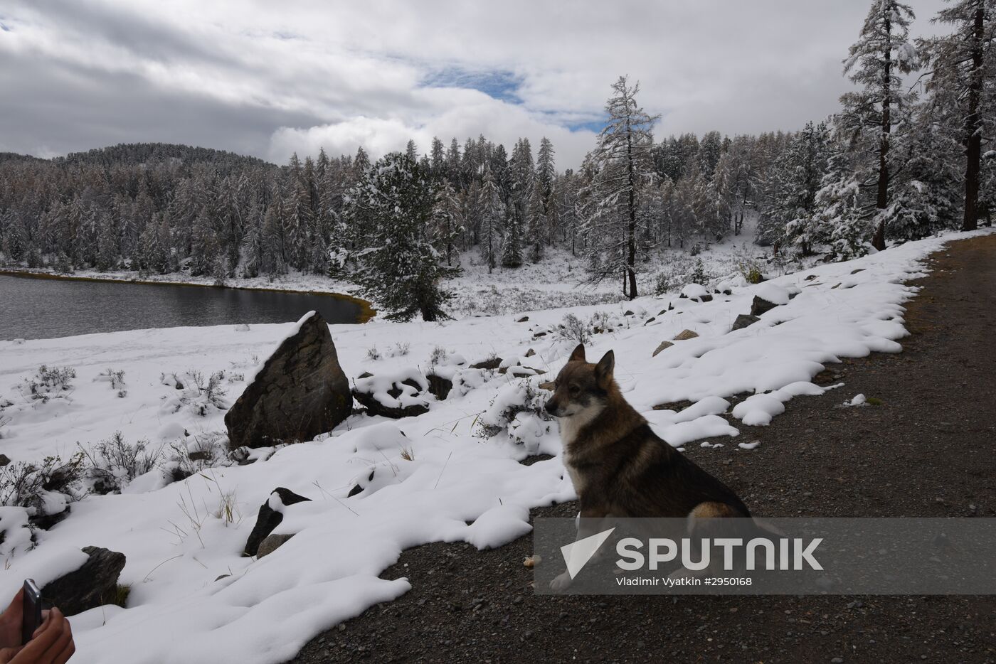 Autumn in the Altai Republic