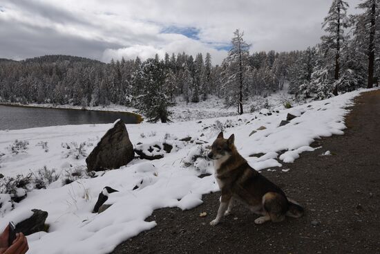 Autumn in the Altai Republic