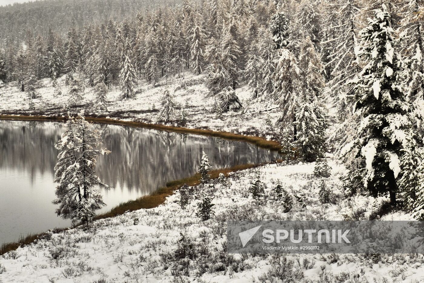 Autumn in the Altai Republic