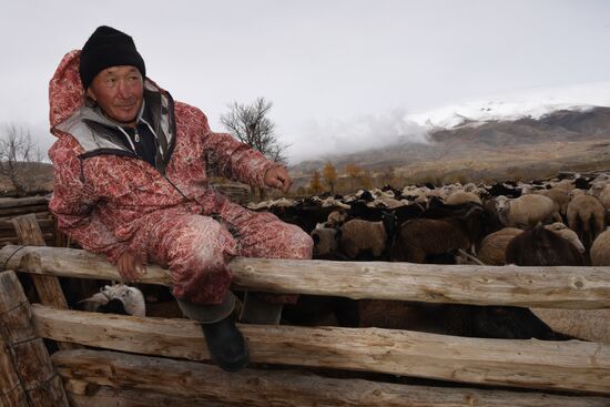 Autumn in the Altai Republic