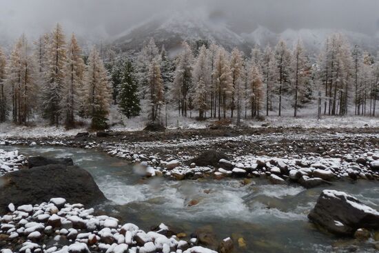 Autumn in the Altai Republic