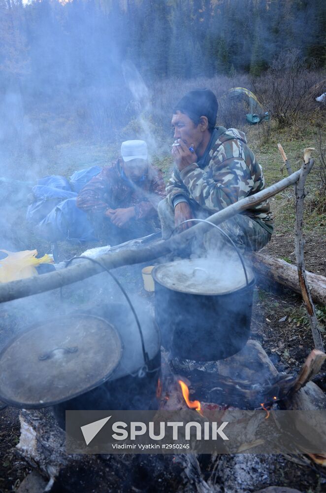 Autumn in the Altai Republic