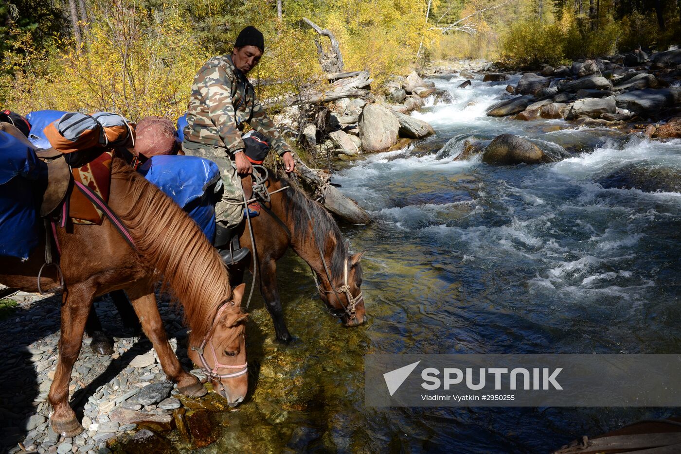 Autumn in the Altai Republic