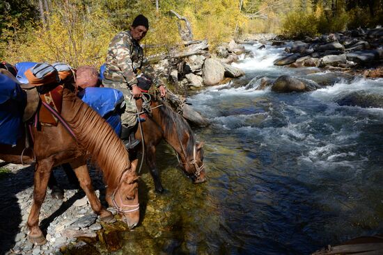 Autumn in the Altai Republic