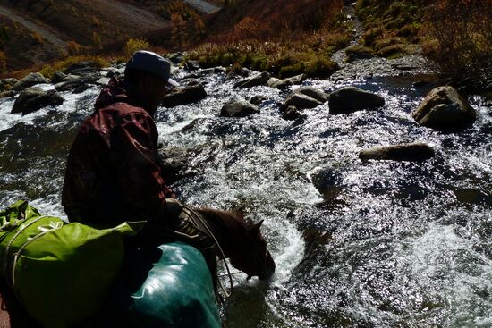 Autumn in the Altai Republic