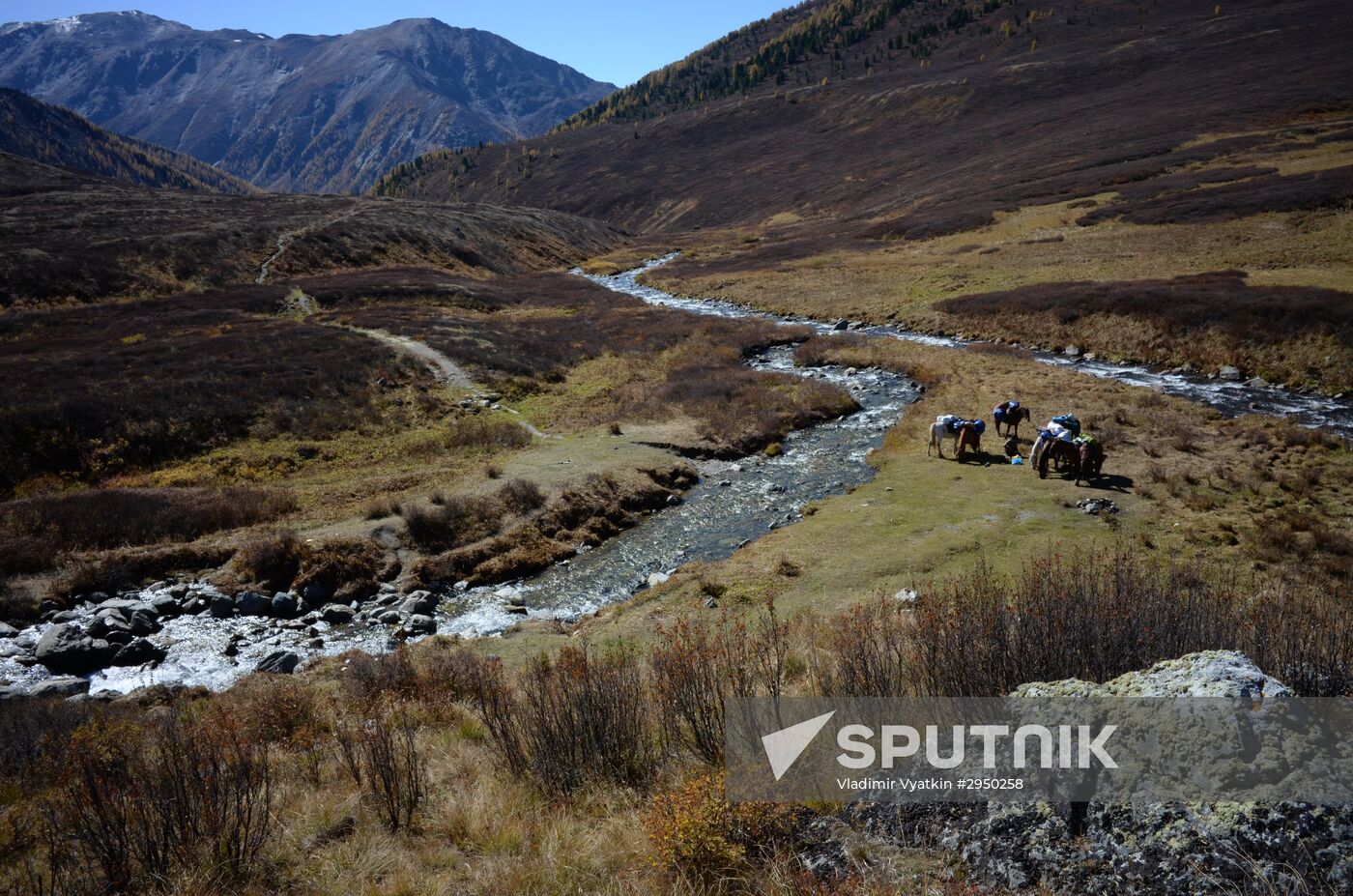 Autumn in the Altai Republic