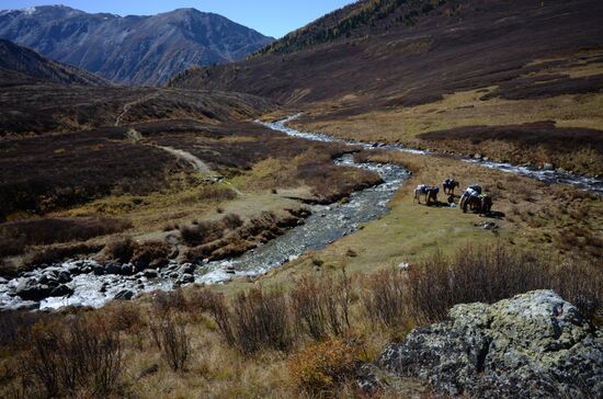 Autumn in the Altai Republic