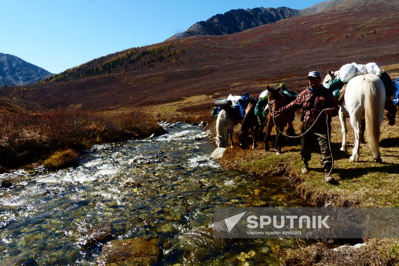 Autumn in the Altai Republic