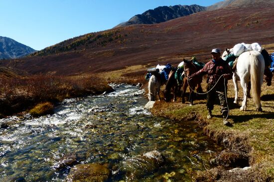 Autumn in the Altai Republic