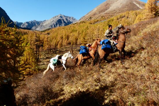 Autumn in the Altai Republic