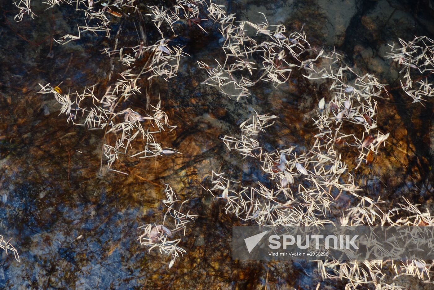 Autumn in the Altai Republic