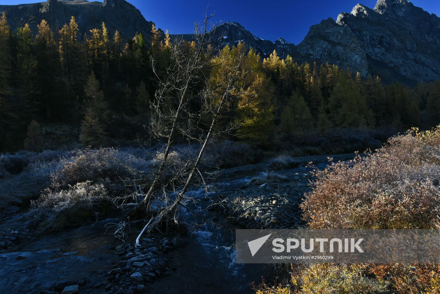 Autumn in the Altai Republic