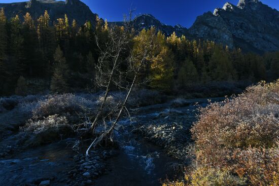 Autumn in the Altai Republic