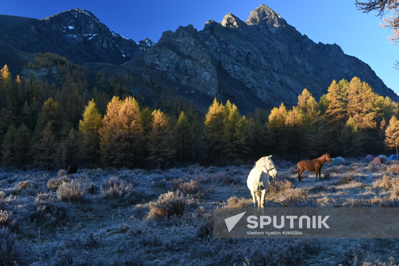 Autumn in the Altai Republic