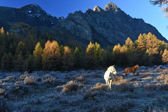 Autumn in the Altai Republic