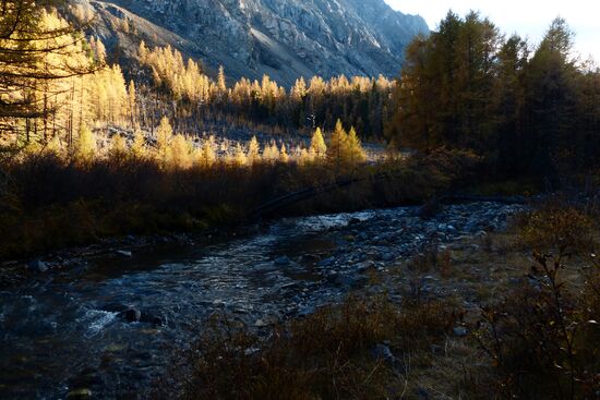 Autumn in the Altai Republic