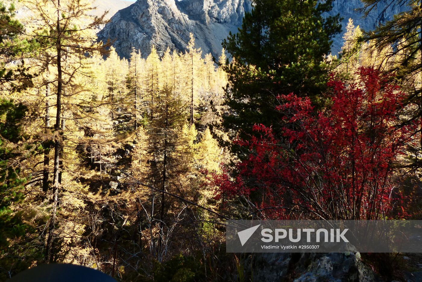 Autumn in the Altai Republic