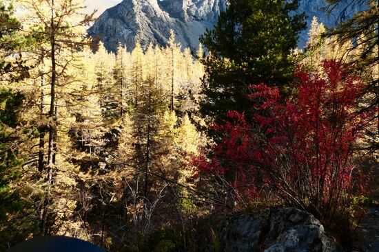 Autumn in the Altai Republic