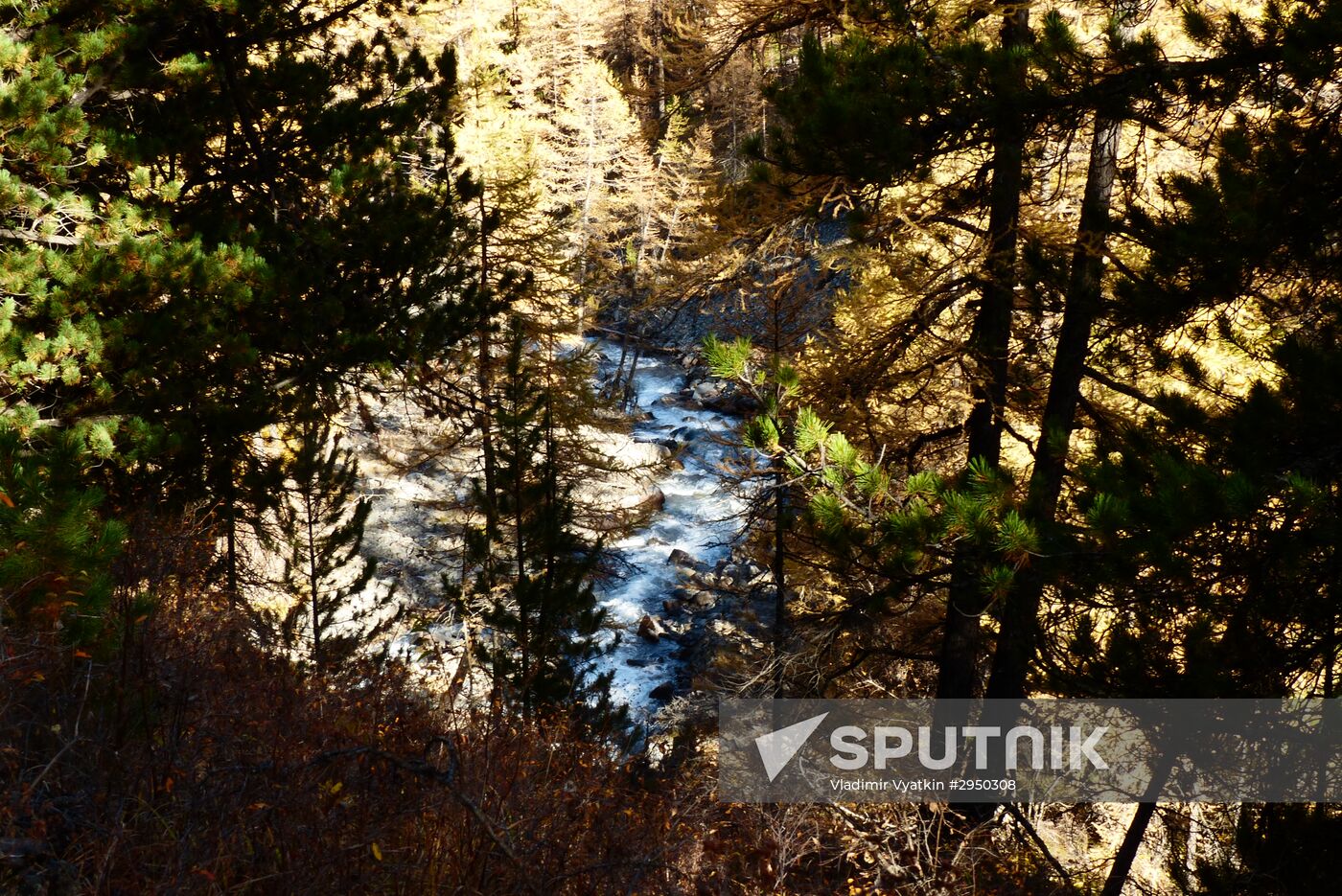 Autumn in the Altai Republic