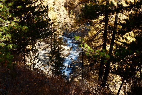 Autumn in the Altai Republic