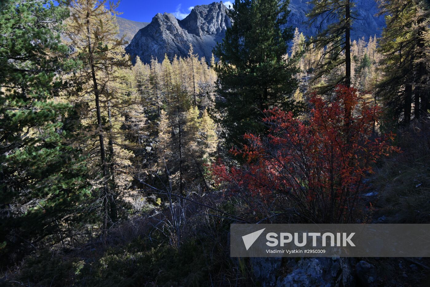Autumn in the Altai Republic