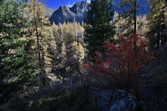 Autumn in the Altai Republic