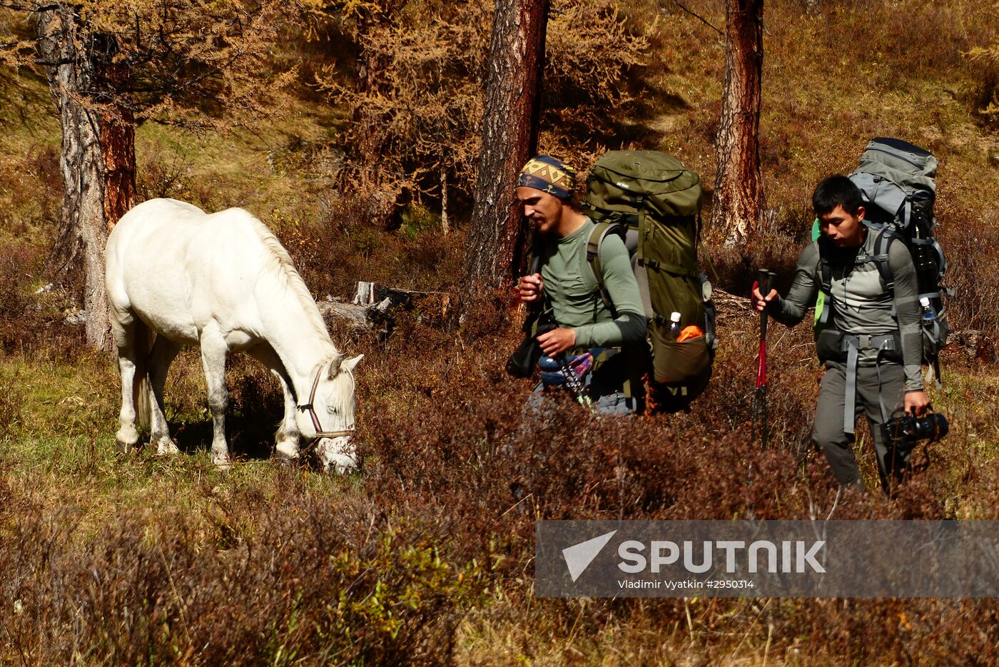 Autumn in the Altai Republic