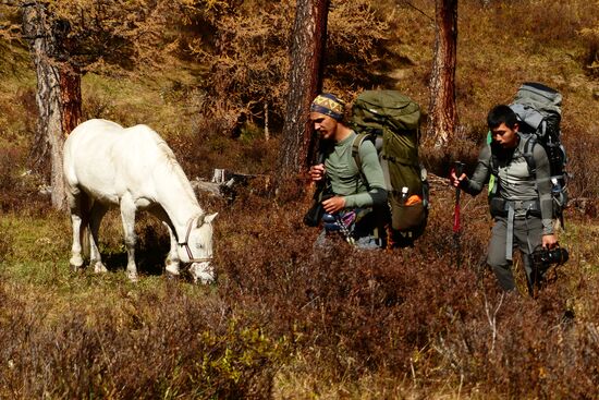 Autumn in the Altai Republic