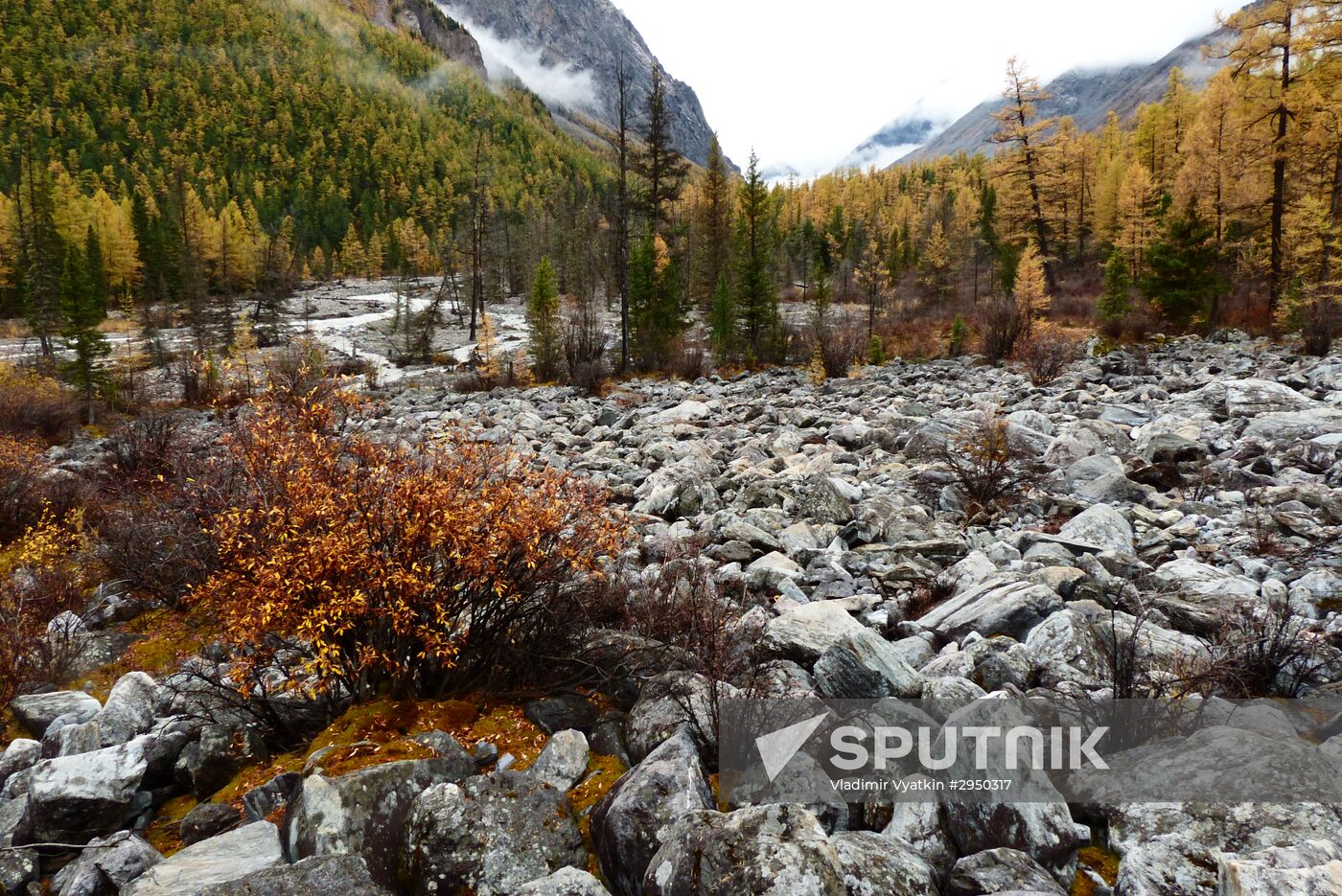 Autumn in the Altai Republic