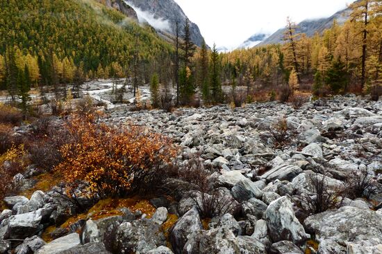 Autumn in the Altai Republic