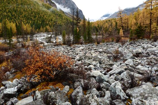 Autumn in the Altai Republic