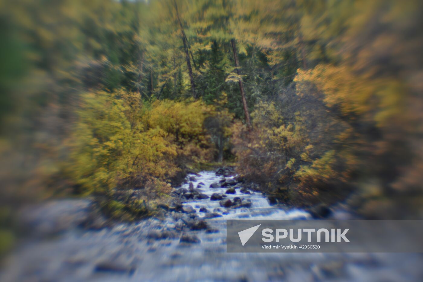 Autumn in the Altai Republic