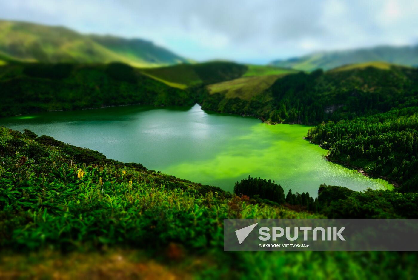Flores Island