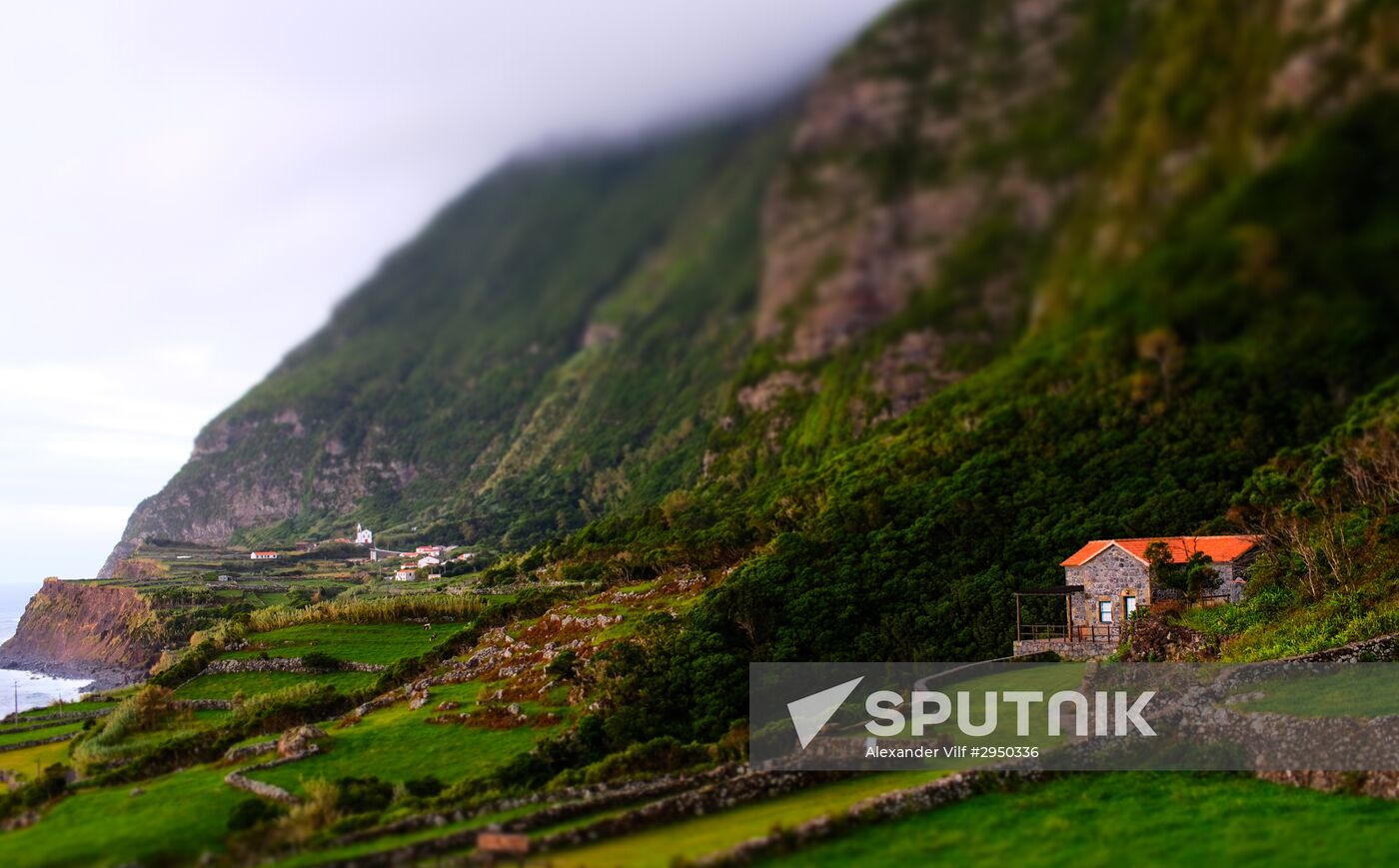 Flores Island