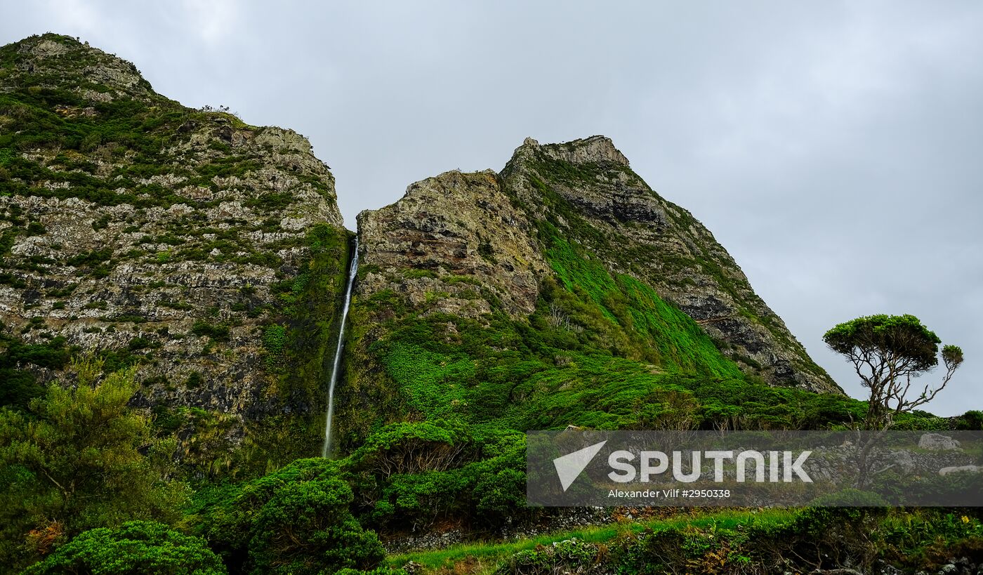 Flores Island