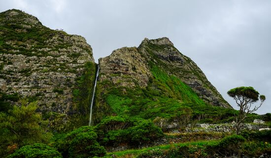 Flores Island