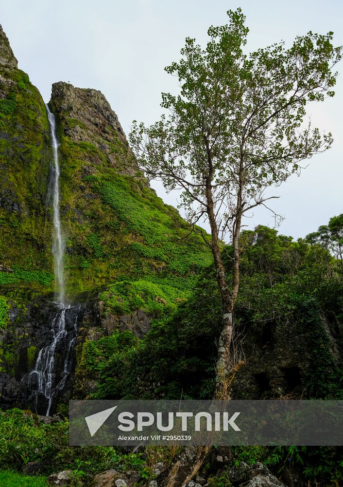Flores Island