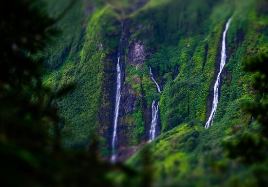 Flores Island