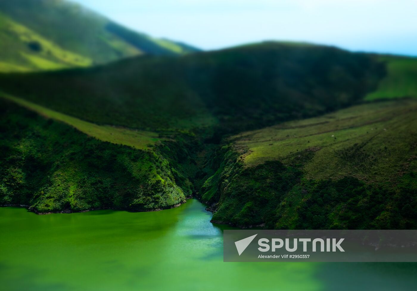 Flores Island