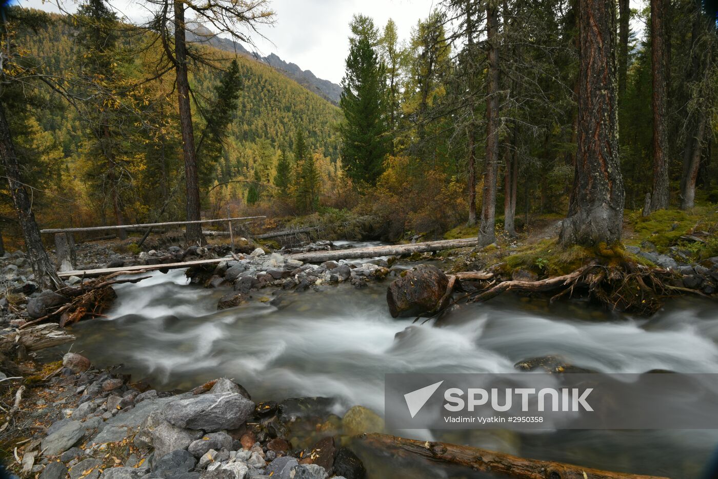 Autumn in the Altai Republic