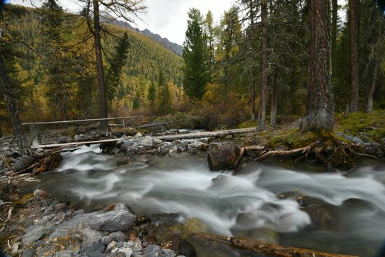 Autumn in the Altai Republic