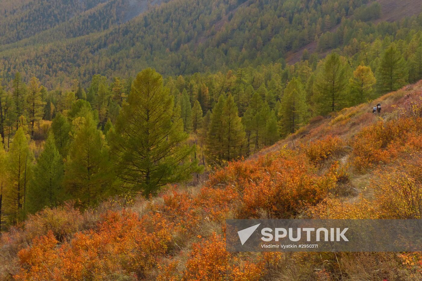 Autumn in the Altai Republic