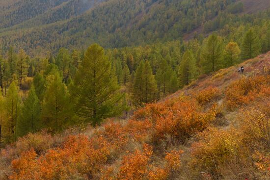 Autumn in the Altai Republic