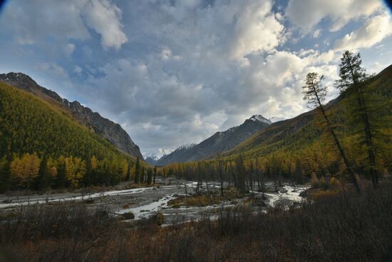 Autumn in the Altai Republic