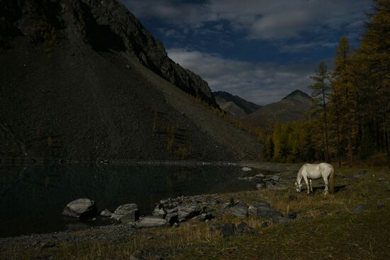 Autumn in the Altai Republic