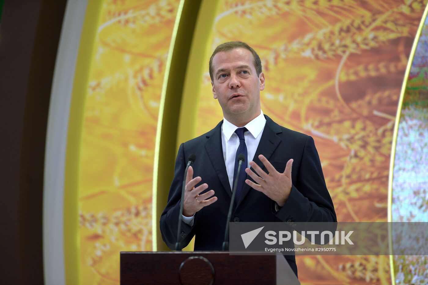 Prime Minister Dmitry Medvedev presents state awards to agriculture workers at Golden Autumn trade fair