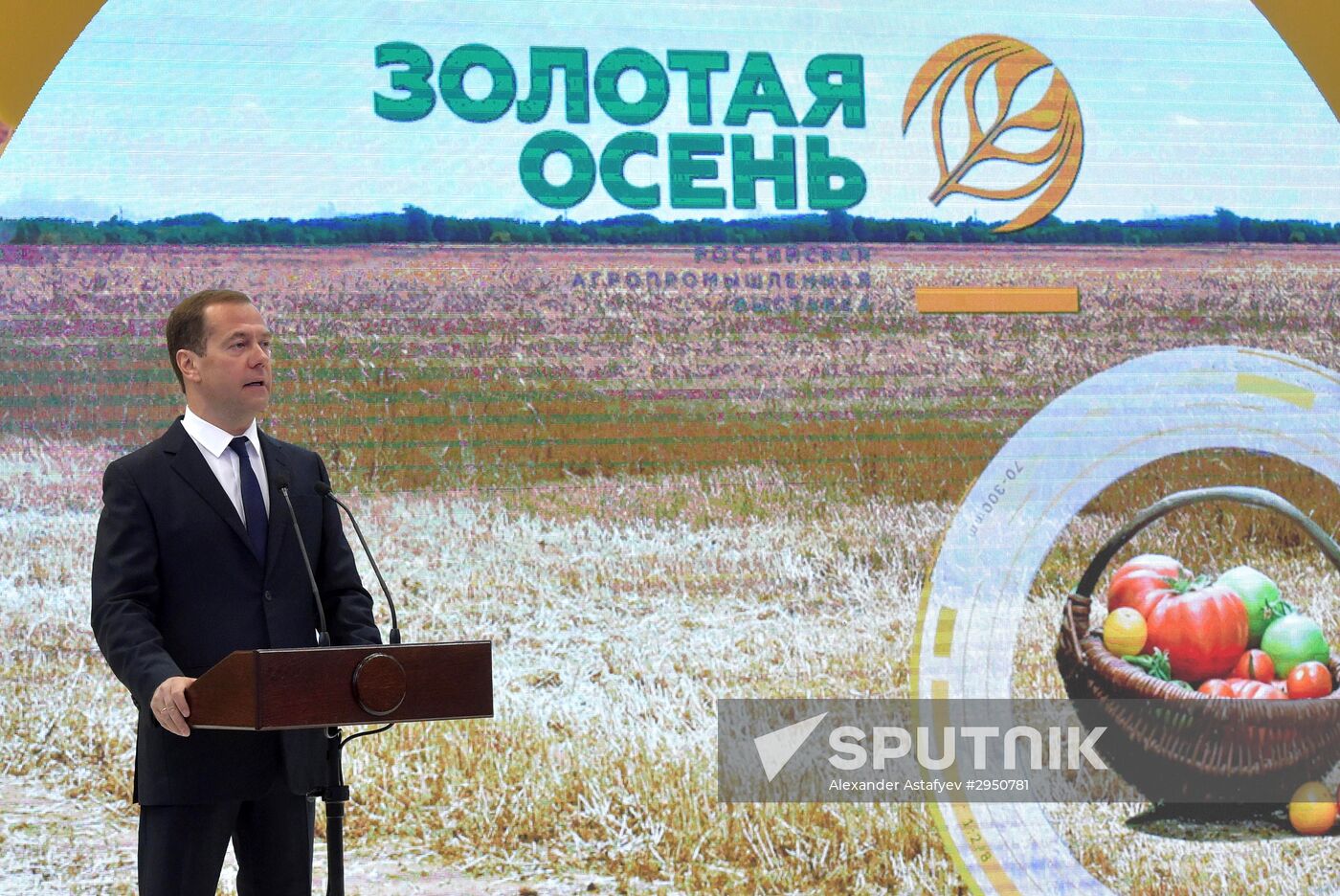 Prime Minister Dmitry Medvedev presents state awards to agriculture workers at Golden Autumn trade fair