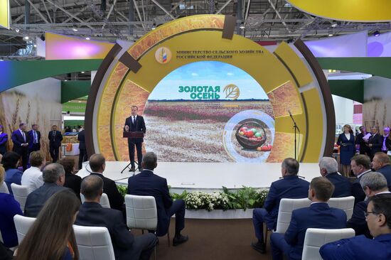 Prime Minister Dmitry Medvedev presents state awards to agriculture workers at Golden Autumn trade fair