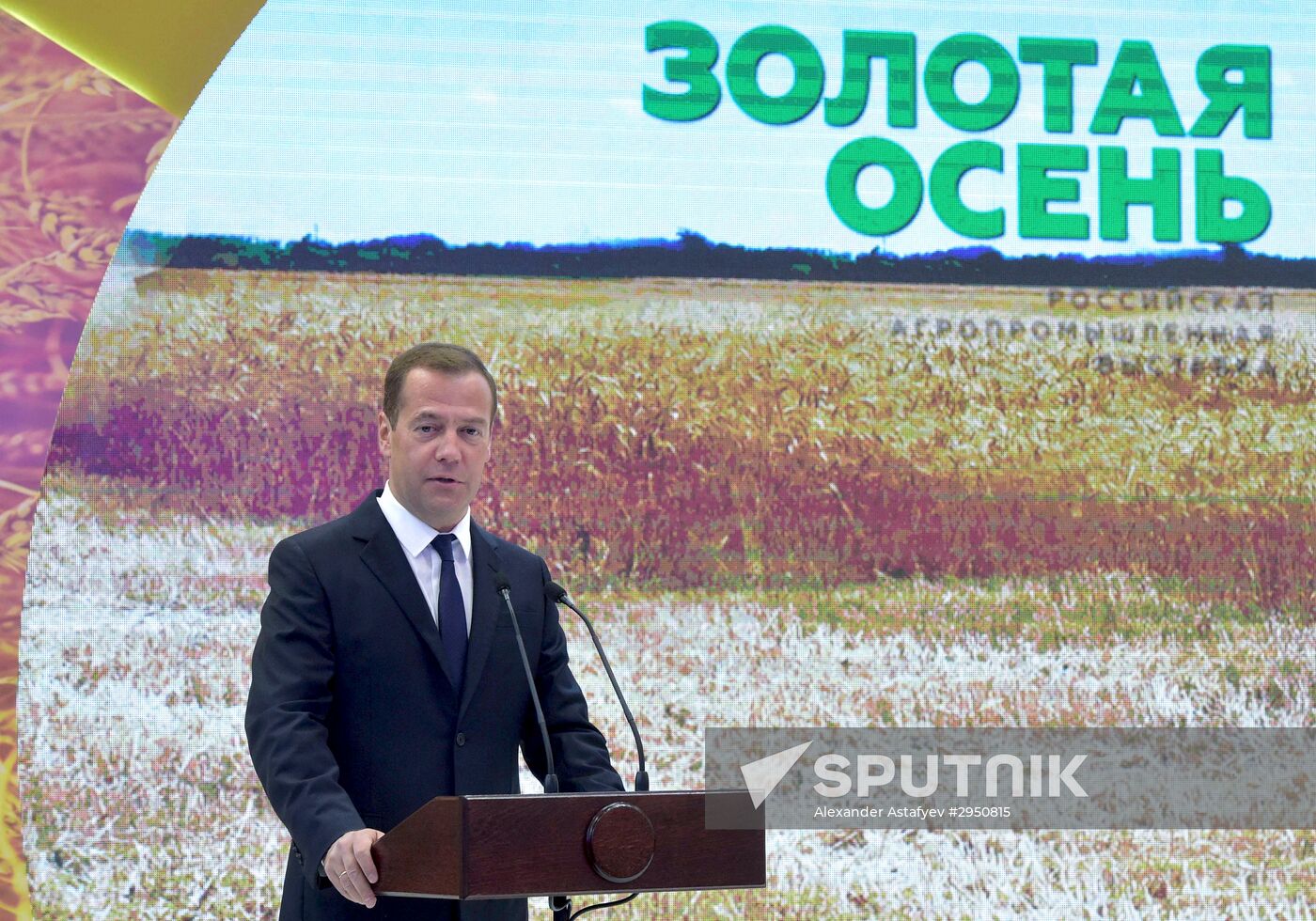 Prime Minister Dmitry Medvedev presents state awards at Golden Autumn exhibition