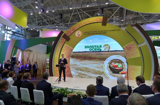 Prime Minister Dmitry Medvedev presents state awards at Golden Autumn exhibition